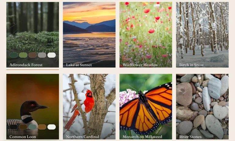 New Life Spaces: Nature-Derived Color Palettes