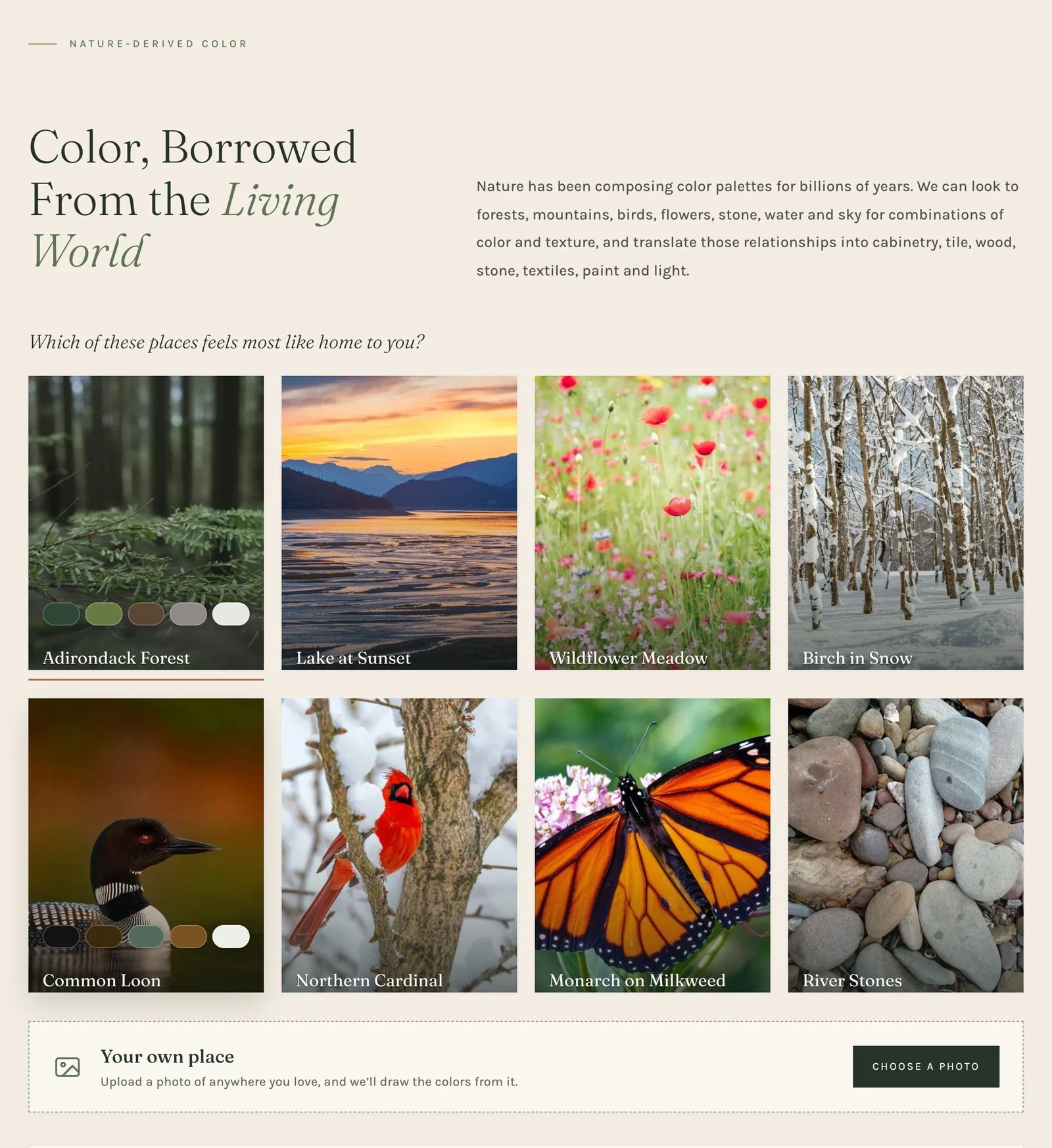 The Color, Borrowed From the Living World section: heading, intro, the question, eight nature cards and the Your own place band.